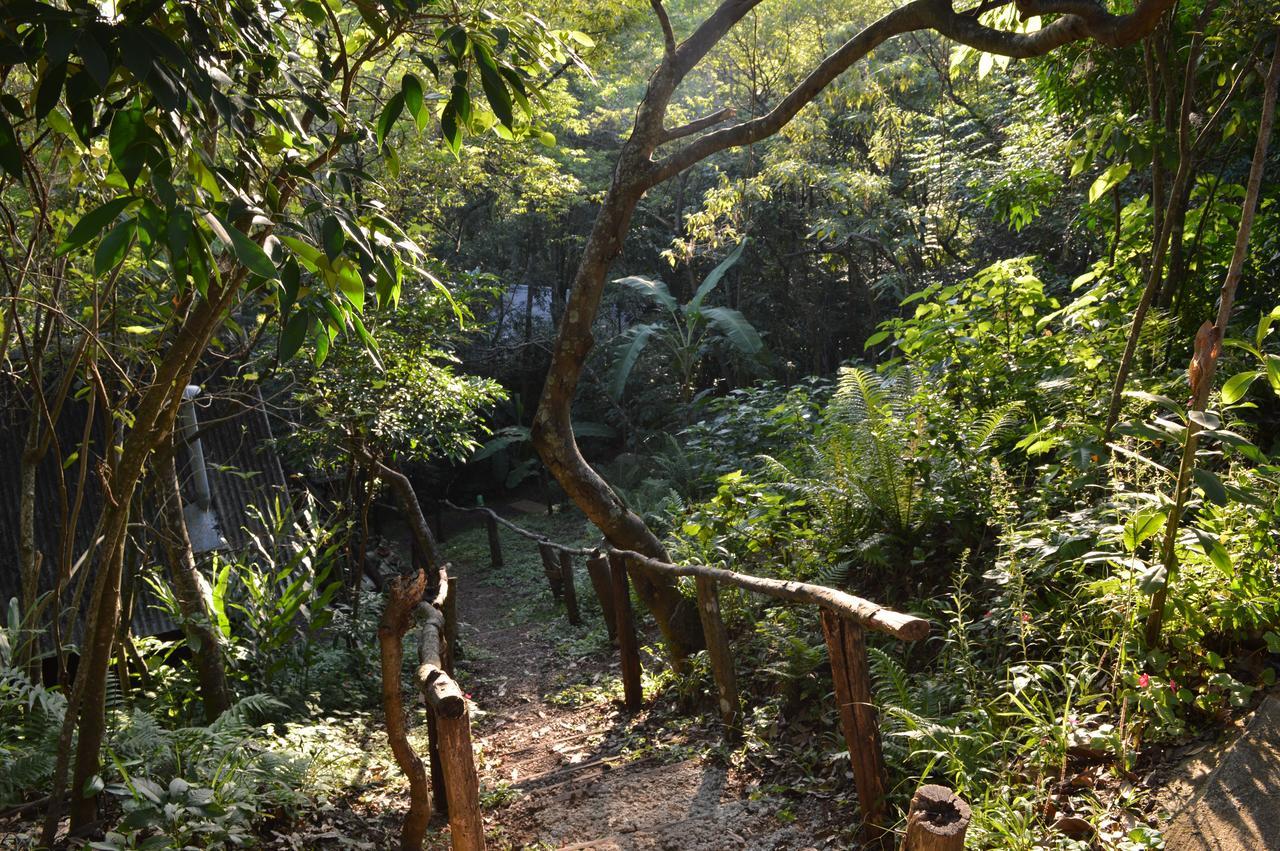 Sitio Holistico Natureza Sanadora Hotel Morro Reuter Exterior foto